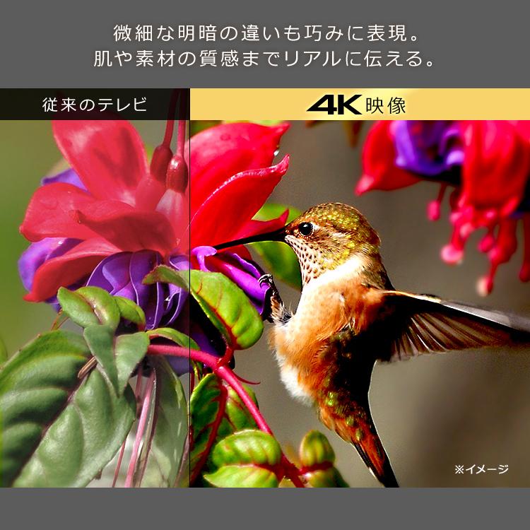 IRIS OHYAMA（アイリスオーヤマ） テレビ 4Kチューナー内蔵液晶テレビ