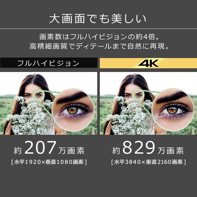 IRIS OHYAMA（アイリスオーヤマ） テレビ 4Kチューナー内蔵液晶テレビ