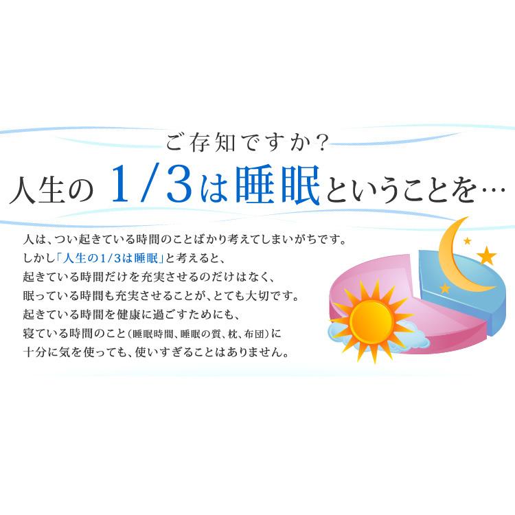 敷布団 セミダブル マットレス 高反発 腰に優しい 敷き布団 布団 敷パッド 通気性 軽量 洗える エアリ− PAR-SD アイリスオーヤマ 新生活 *｜takuhaibin｜03