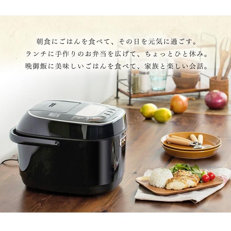 IRIS OHYAMA（アイリスオーヤマ） 炊飯器 10合 安い 一升 銘柄炊き