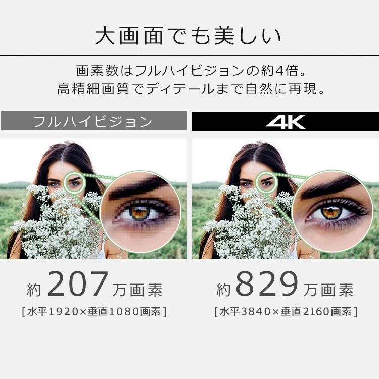 IRIS OHYAMA（アイリスオーヤマ） 4Kチューナー内蔵液晶テレビ 43