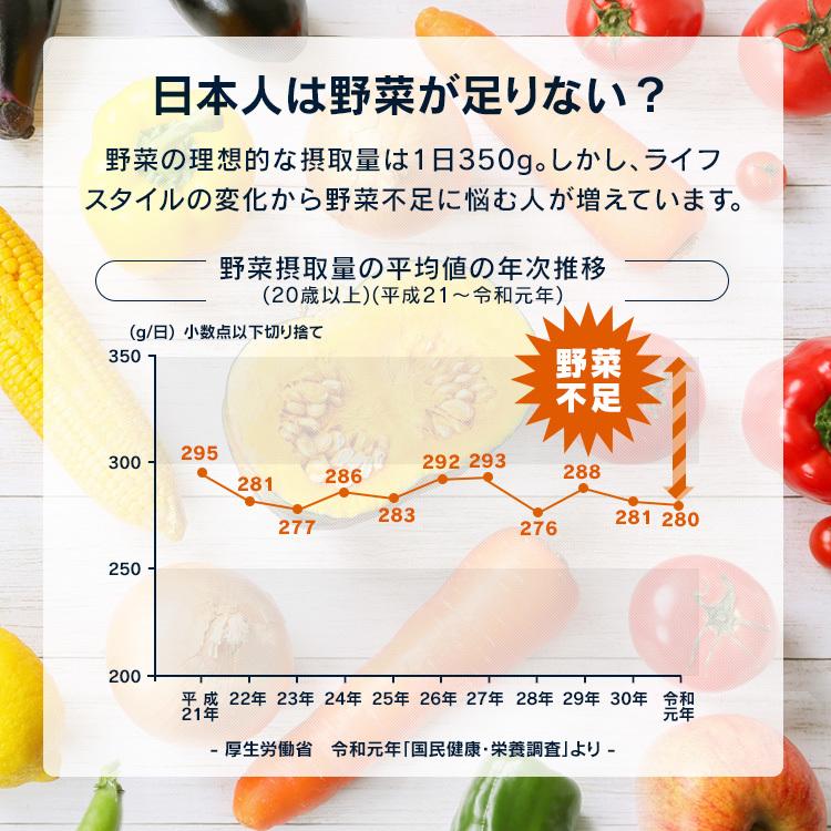 カレー 野菜 3食セット たっぷり野菜のごろっとカレー 野菜1/2日分