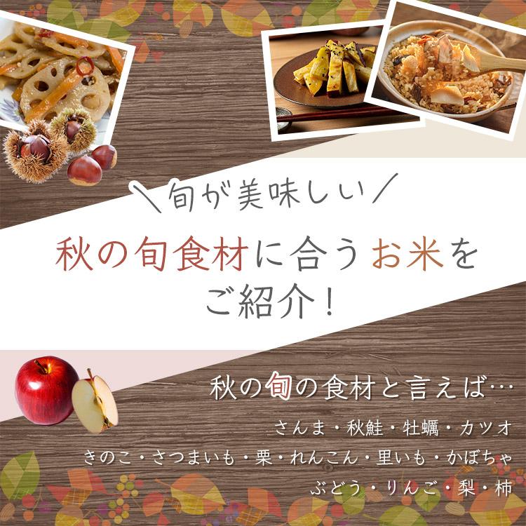 米 5kg 送料無料 令和5年産 青森県産 まっしぐら お米 ご飯 低温製法米 精米  5キロ 青森県産 まっしぐら アイリスフーズ｜takuhaibin｜02