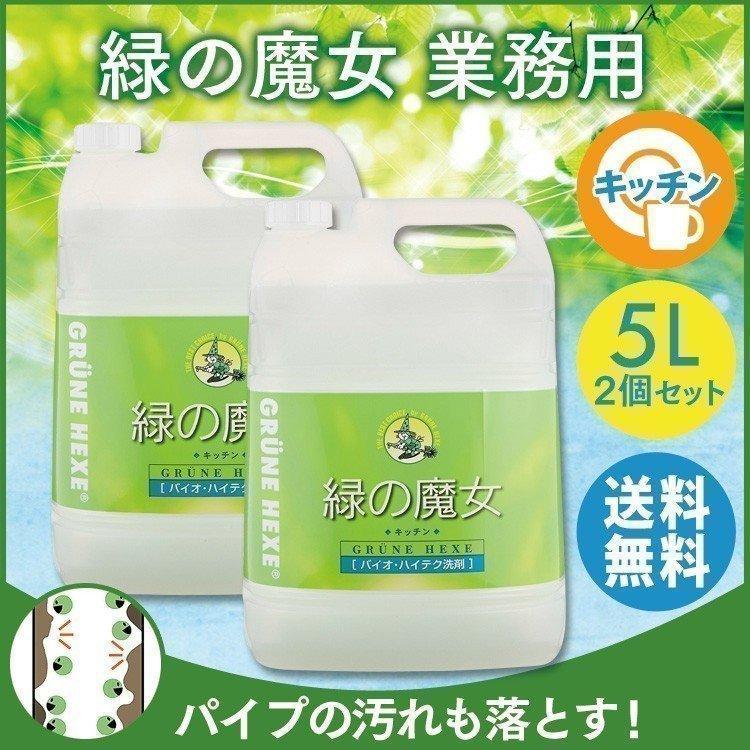 緑の魔女 キッチン洗剤 キッチン 業務用 5kg 2本セット 洗剤 業務用 食器