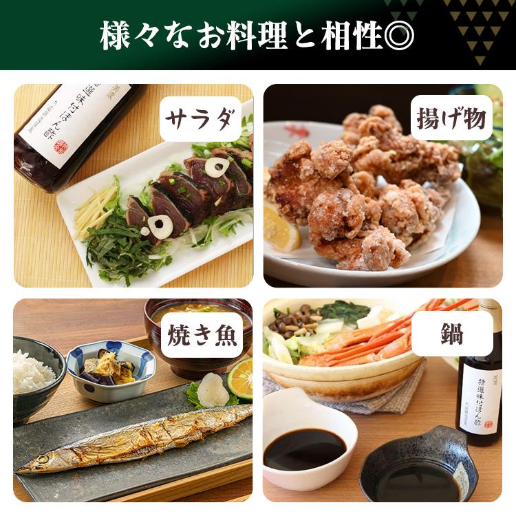 ポン酢 調味料 ぽんず 酢 360ml 3本 酢 味付け 内堀醸造 美濃特選 餃子 調味料｜takuhaibin｜03