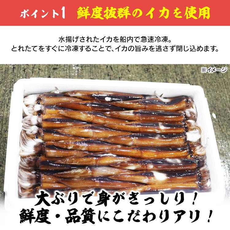 送料無料 生イカ 1 2kg 3 5杯 いか焼き お刺身 するめいか スルメイカ 冷凍生いか 函館産 北海道産 塩辛 特大 獲れたて 肝醤油 船上急速冷凍 21年製 北海道産