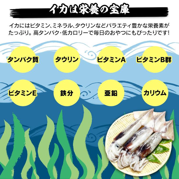 魚介類 海産物 スルメイカ イカ 魚介類 海産物 食品 通販 Yahoo ショッピング