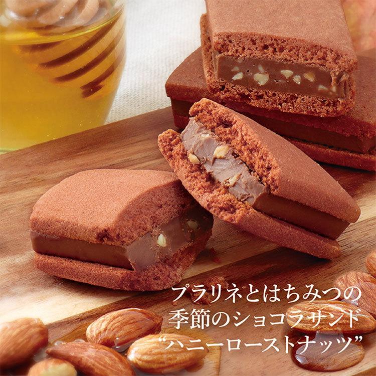チョコレート ショコラサンド 季節のショコラサンド お菓子 チョコレート ショコラサンド 季節のショコラサンド お菓子