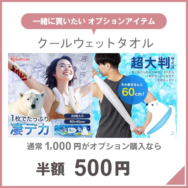 IRIS OHYAMA クーラーボックス 小型 保冷力 19.3L 部活 釣り