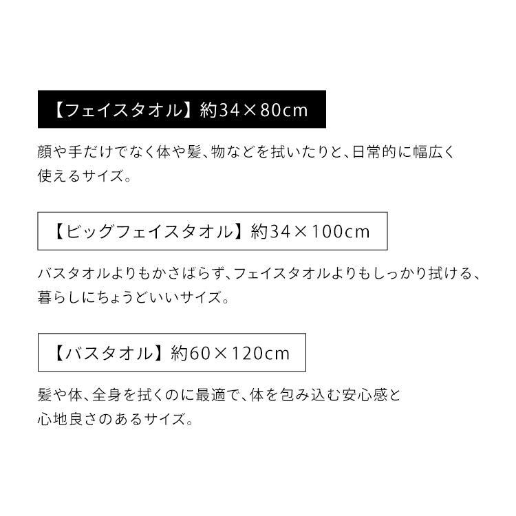 タオル フェイスタオル シンプル 2枚セット ガーゼ＋パイルフェイスタオル アイリスオーヤマ FT-G2｜takuhaibin｜14