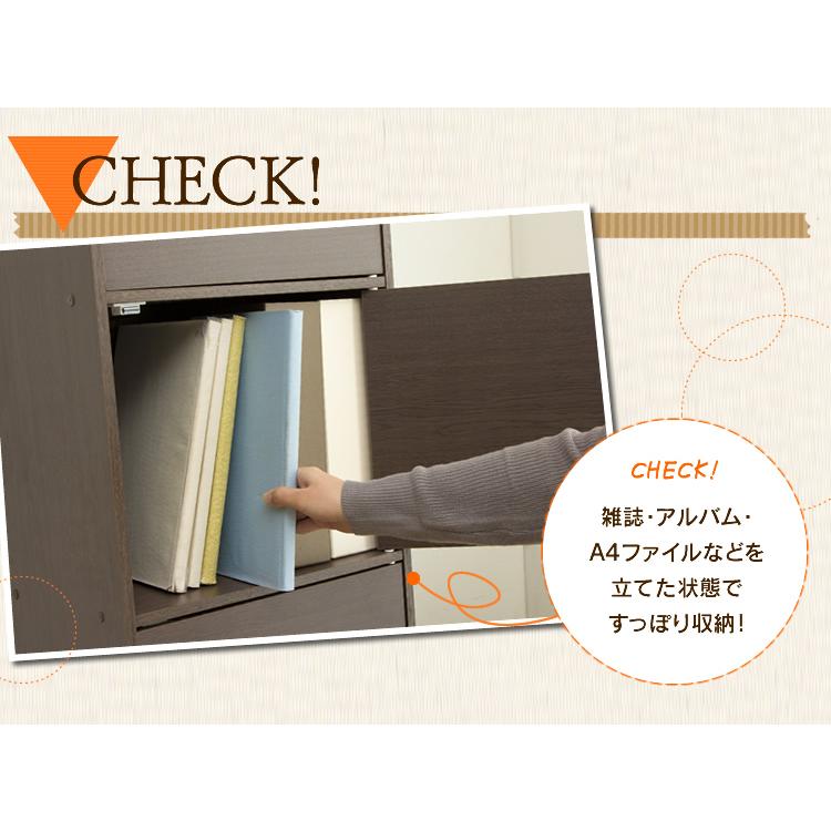 IRIS OHYAMA（アイリスオーヤマ） 2個セット 収納ボックス A4サイズ