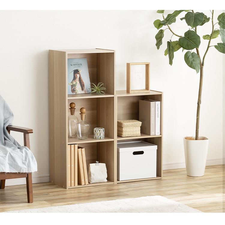 IRIS OHYAMA（アイリスオーヤマ） カラーボックス 2段 収納ボックス