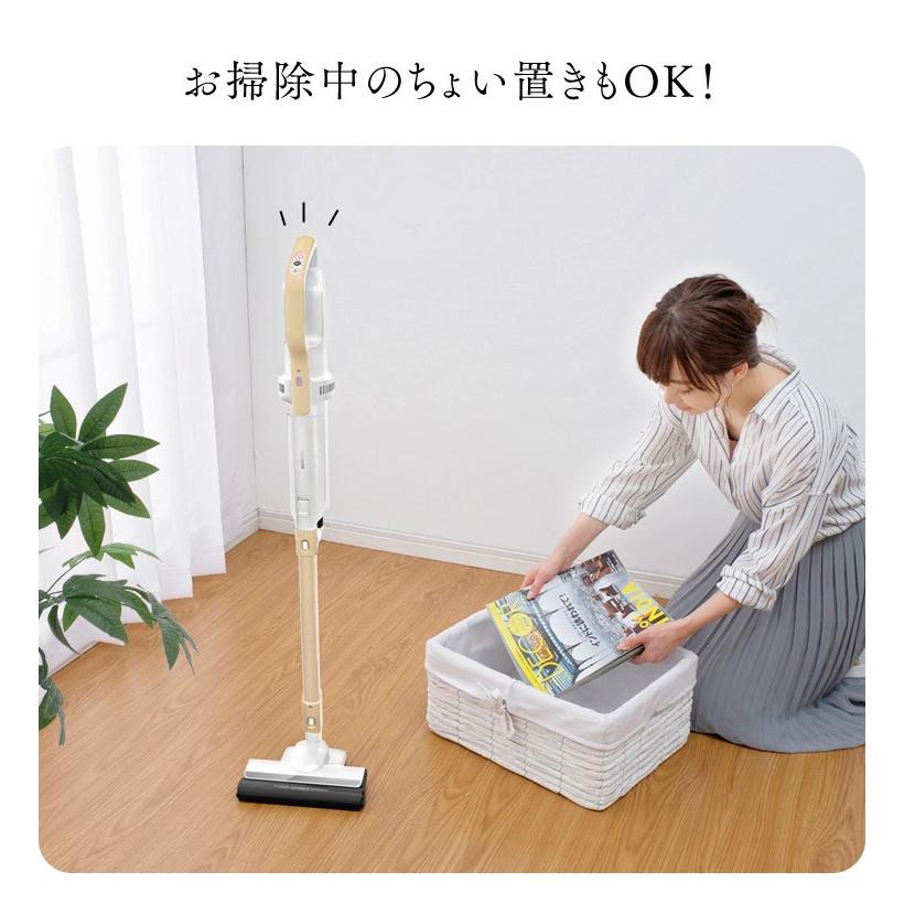 IRIS OHYAMA（アイリスオーヤマ） 掃除機 クリーナー 軽量 軽い