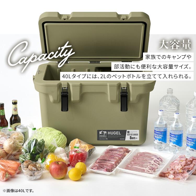 IRIS OHYAMA（アイリスオーヤマ） クーラーボックス 釣り 40L ウレタン