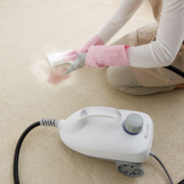 IRIS OHYAMA（アイリスオーヤマ） スチームクリーナー STM-410N