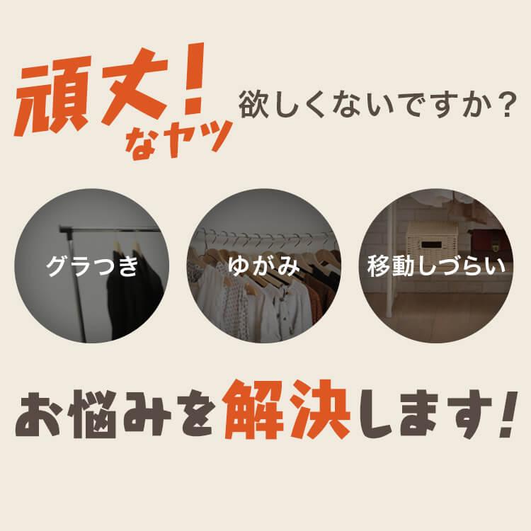 IRIS OHYAMA パイプハンガー 2段 ハンガーラック 頑丈 2連 耐 IRIS OHYAMA パイプハンガー 2段 ハンガーラック 頑丈 2連 耐
