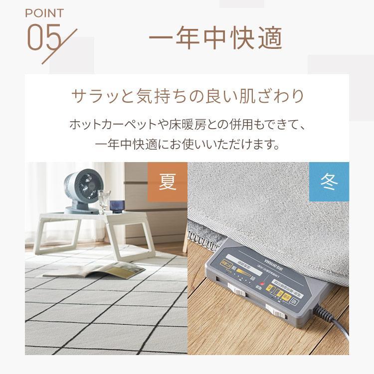 5日限定！P10倍／ ラグ カーペット 2畳 夏用 ラグマット 洗える