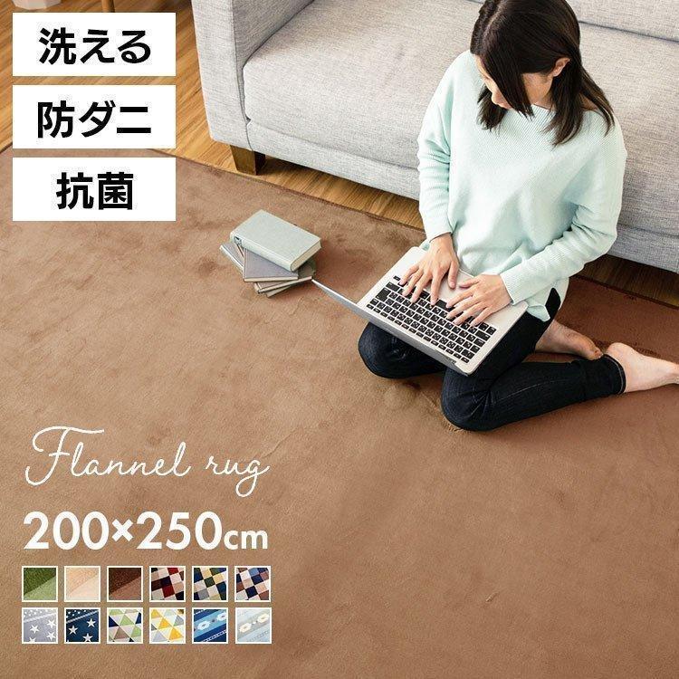 ラグ 3畳 200×250 洗える 北欧 カーペット ラグマット らぐ 絨毯