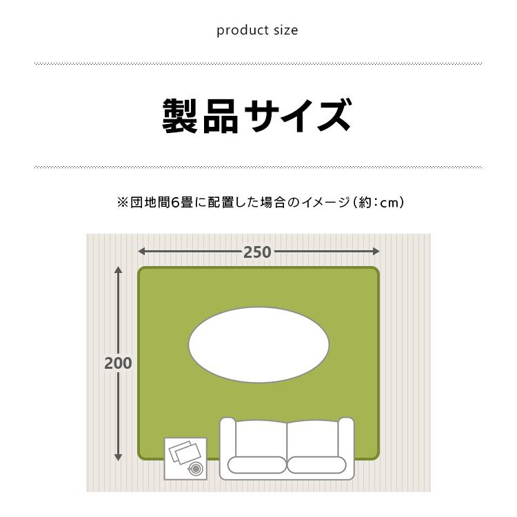 ラグ カーペット ラグマット 洗える 厚手 北欧 夏 夏用 3畳 200×250 おしゃれ オールシーズン 滑り止め付 抗菌 防臭 防ダニ 長方形｜takuhaibin｜19