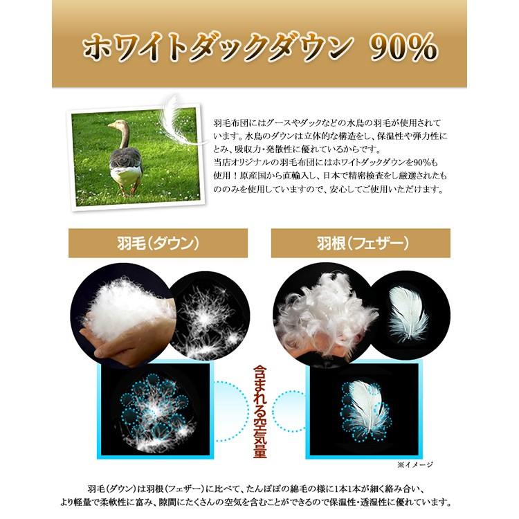 羽毛掛布団(ホワイトダックダウン) 羽毛布団 羽毛ふとん 冬 ふとん かけ布団 掛け布団 ホワイトダック