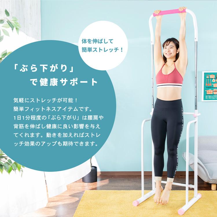 SIS ぶら下がり健康器 XK-011(D) : ラクチーナ Yahoo!店 - 通販