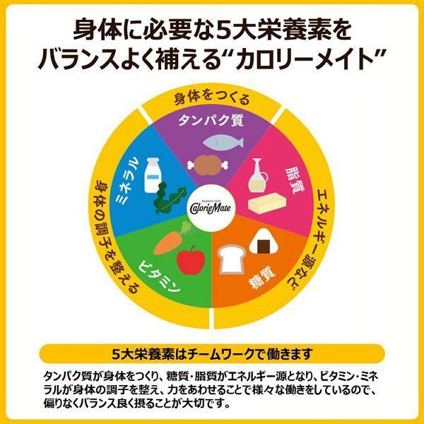 大塚製薬 カロリーメイト 箱買い ブロック 栄養補助 送料無料 防災