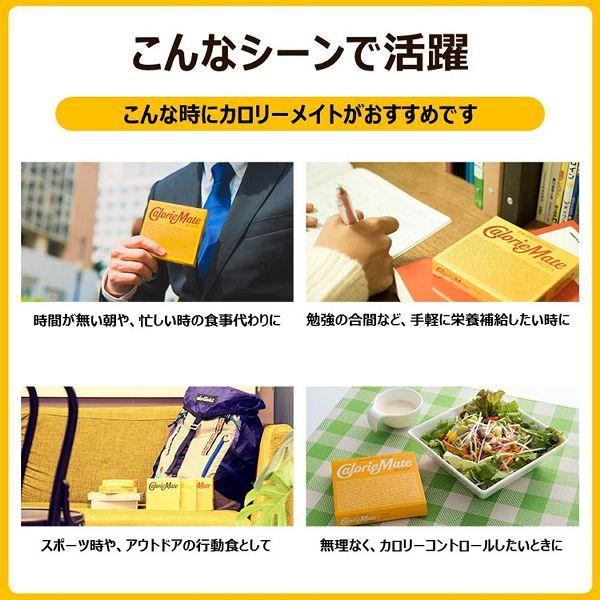 大塚製薬 カロリーメイト 箱買い ブロック 栄養補助 送料無料 防災