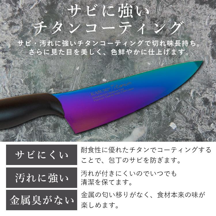 包丁 日本製 国産 チタン チタンナイフ 20cm ナイフ 霞チタニウム 剣型