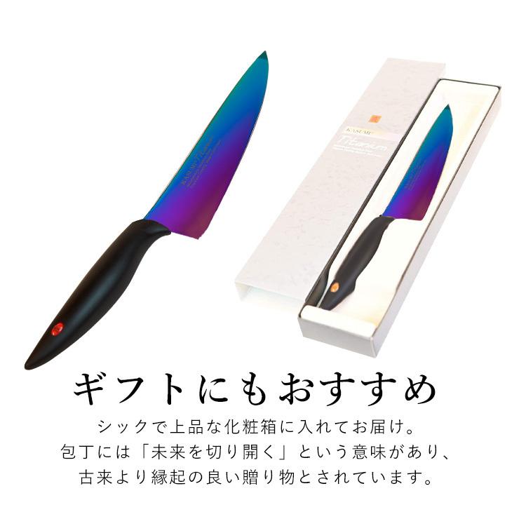 包丁 日本製 国産 チタン チタンナイフ 20cm ナイフ 霞チタニウム 剣型