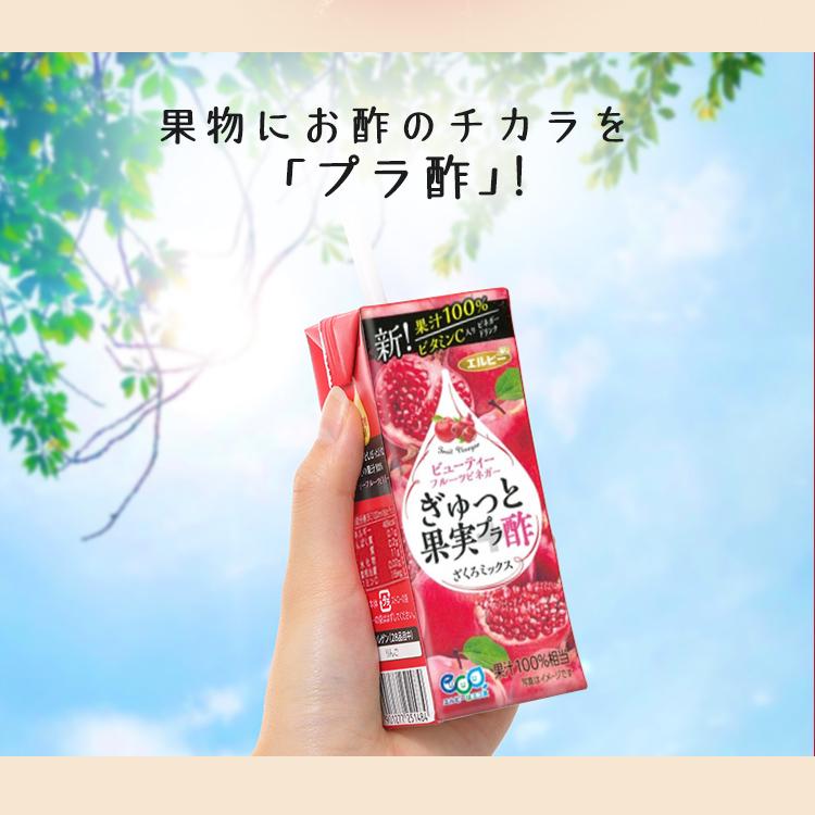 ぎゅっと果実＋酢 200ml 90本 エルビー 代引不可 無添加 ザクロ 果実酢 酢 果汁100％ リンゴ酢 果実 フルーツビネガー｜takuhaibin｜14