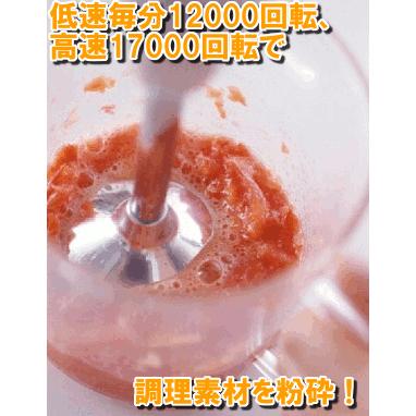 貝印 マルチブレンダー 今だけおまけつき DK5043 ハンディ DK-5043