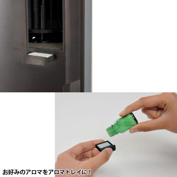 APIX INTERNATIONAL（アピックス インターナショナル） 扇風機