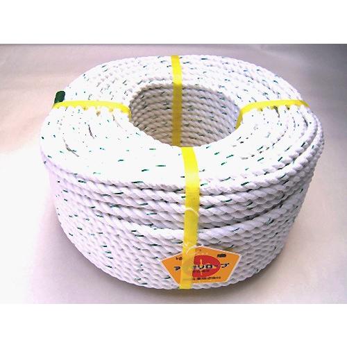 アンカーロープ（3打ち）8mmx100m（スパンエステル）