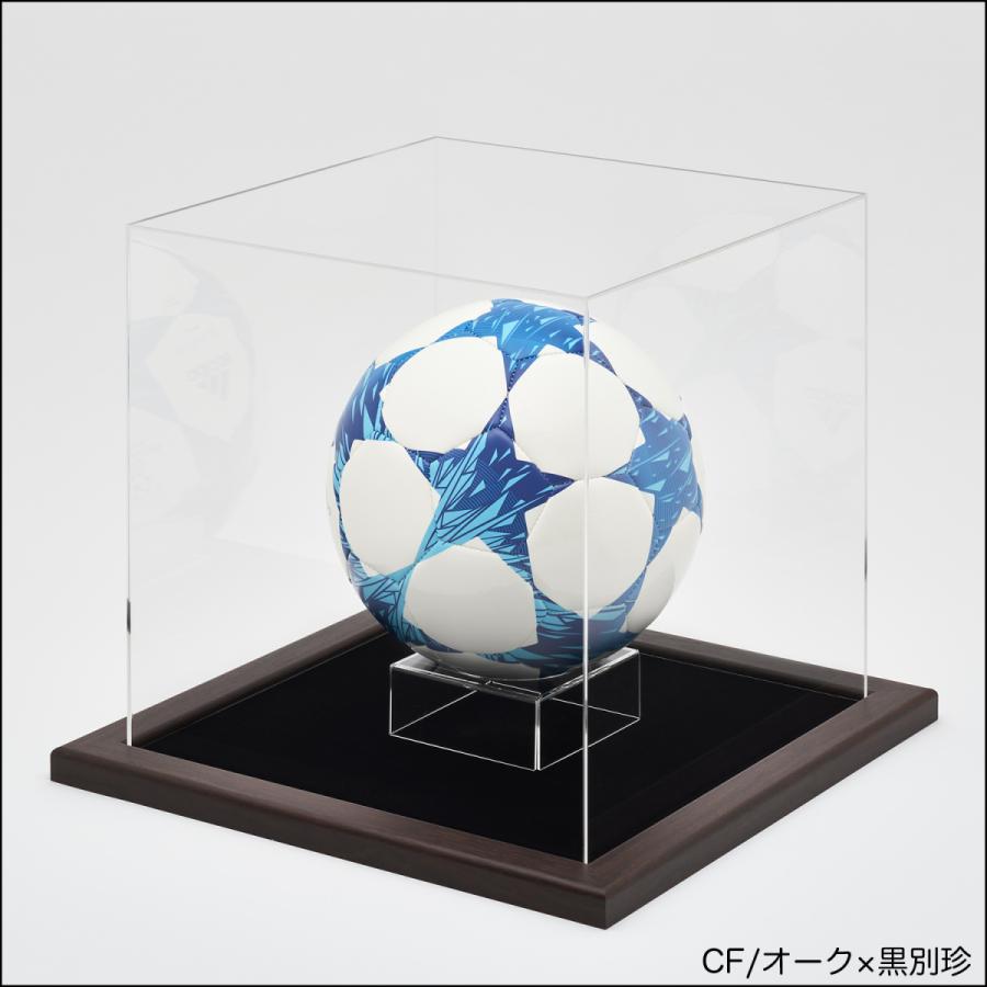 送料無料】コレクションボックス 【CF ボールフレーム Mサイズ