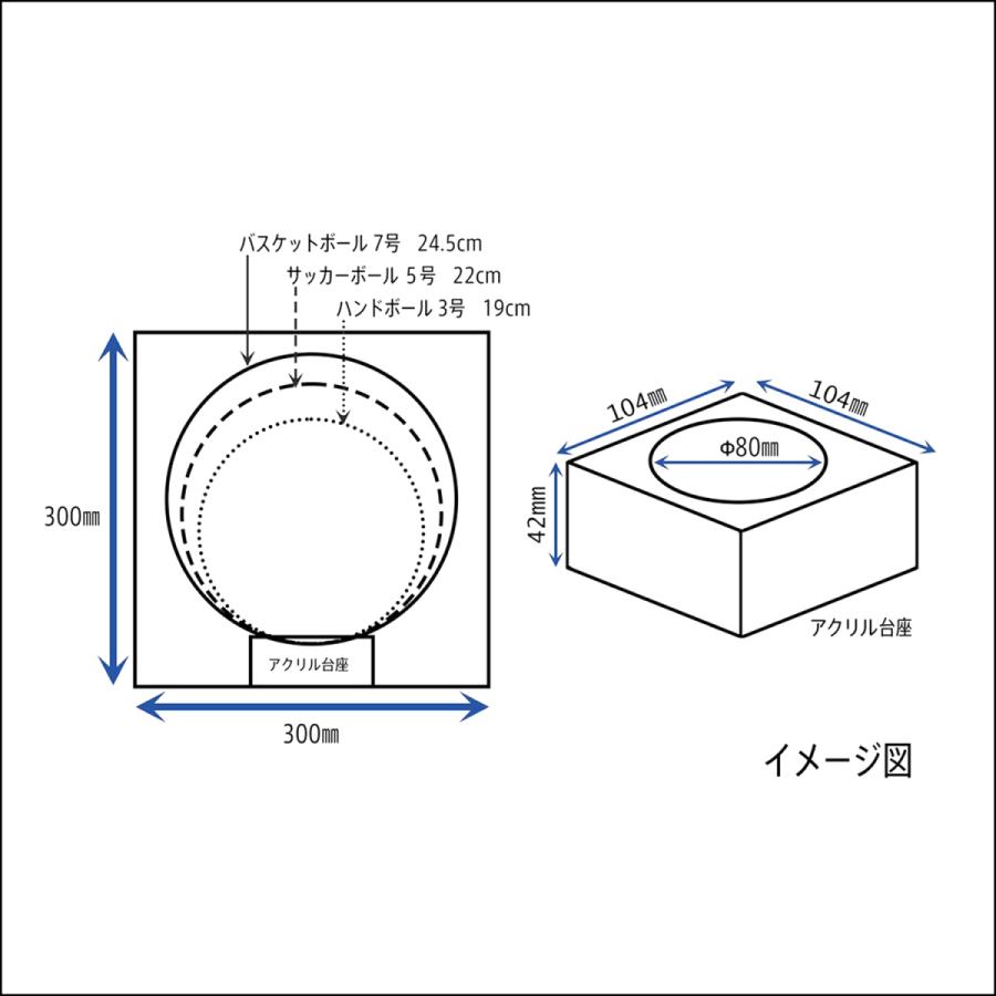 送料無料】コレクションボックス 【CF ボールフレーム Mサイズ