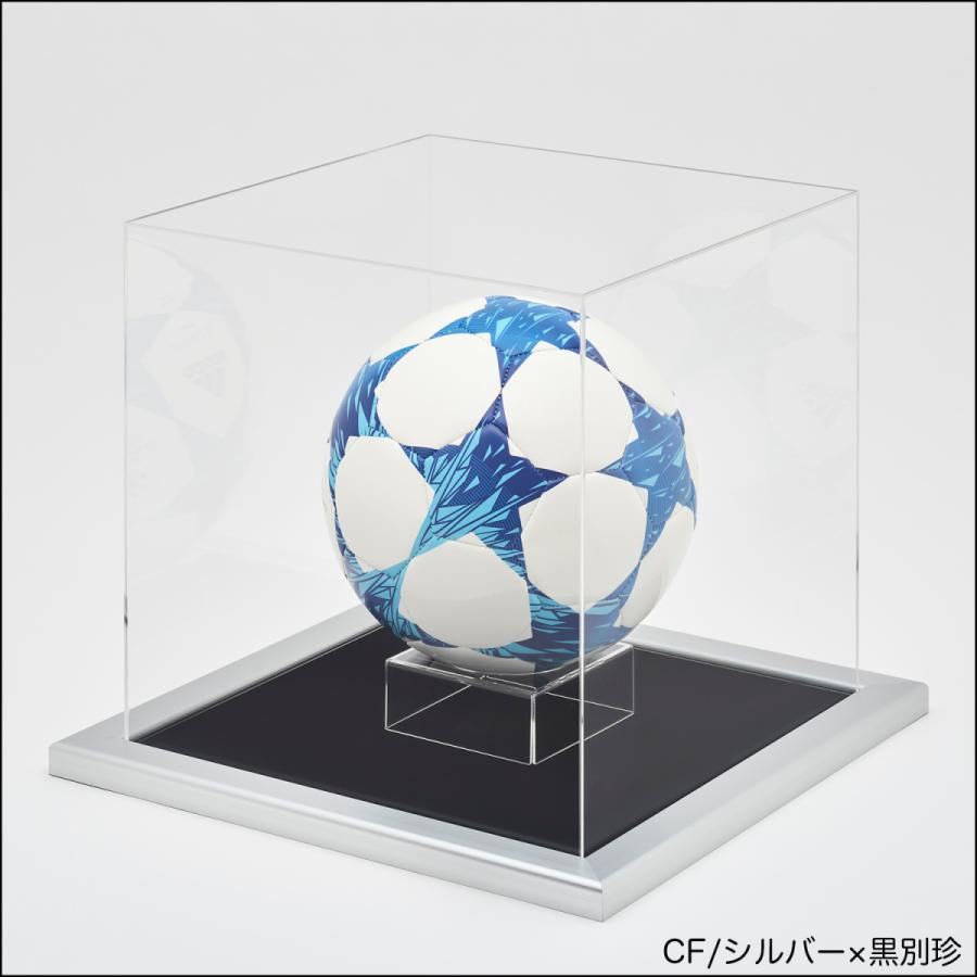 送料無料】コレクションボックス 【CF ボールフレーム Mサイズ