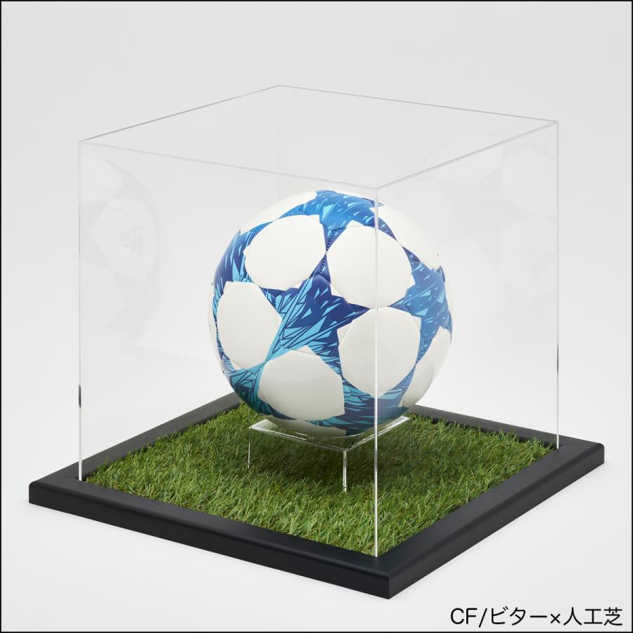 送料無料】コレクションボックス 【CF ボールフレーム Mサイズ
