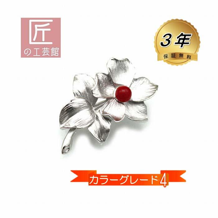 天然血赤珊瑚留ピン（ブローチ） 血赤珊瑚 ブローチ 5mm玉 高知県産血赤珊瑚 カラーグレード4（の