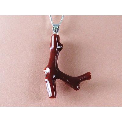 血赤珊瑚 枝型 ペンダント （のし等ギフト対応無料 ) K14WG金具 40cm 