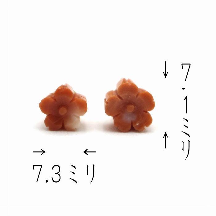 桃珊瑚 桜　ピアス 7ミリさくらサンゴ（のし等ギフト対応無料 ）18金イエローゴールド スタッド (シリコン付きキャッチ) 無染色さんご 日本産_4