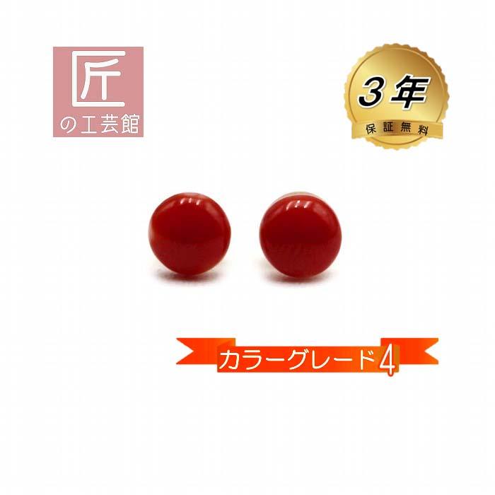 血赤珊瑚 ピアス モチ型 5.5ミリ 高知産血赤珊瑚(のし等ギフト 血赤珊瑚 ピアス モチ型 5.5ミリ 高知産血赤珊瑚(のし等ギフト