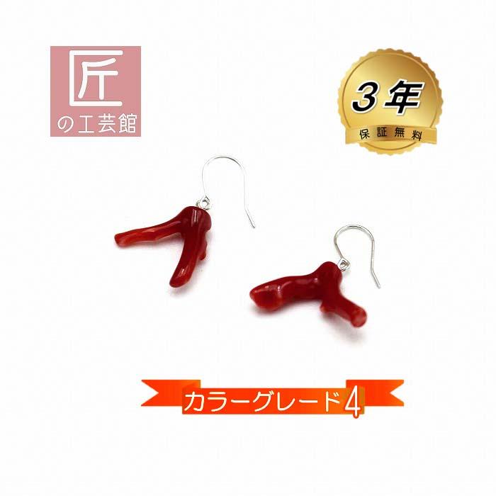 血赤珊瑚 アメリカンピアス 枝型 高知産血赤珊瑚 (のし等ギフト 血赤珊瑚 アメリカンピアス 枝型 高知産血赤珊瑚 (のし等ギフト