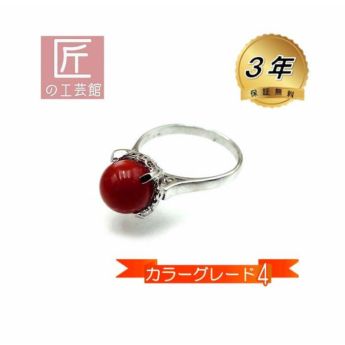 血赤珊瑚 指輪 （のし等ギフト対応無料 ） シルバー金具のリング