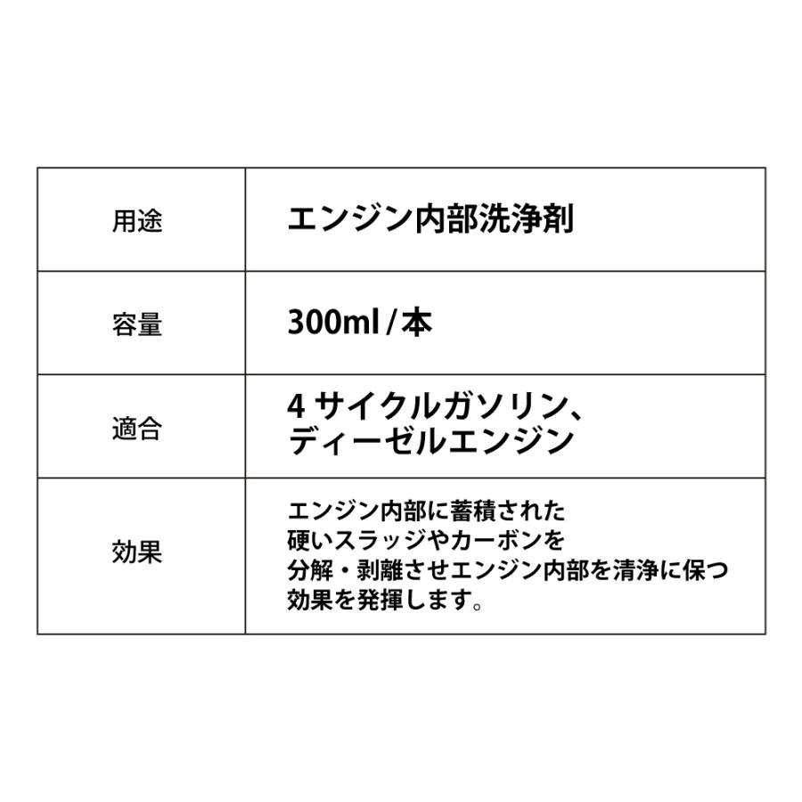 コンプリートクリーンセット 添加剤 エンジン内部洗浄剤 ガソリン燃料添加剤 セット Takumiモーターオイル 送料無料 Fsr Takumi Motor Oil 通販 Paypayモール