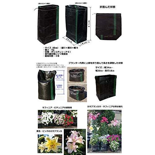 秋の花 野菜の種まき 袋栽培 メッシュ栽培袋uv黒pe 10枚入り 手軽に自宅で家庭菜園 身近で野菜栽培 ベラン A B07bvt8lm9 1107 たくみれネットショップ 通販 Yahoo ショッピング