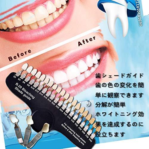 Bimu 歯の模型 歯 シェードガイド ホワイトニング 歯 用 色見本 歯列模型 20色 収納ケース付 A B086qjghtg 20201011 たくみれネットショップ 通販 Yahoo ショッピング