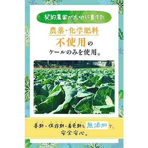 ヤクルト Kalicious ケリシャス 30袋 国産 大分県栽培 冬ケール使用青汁 A B08brr3vk1 1029 たくみれネットショップ 通販 Yahoo ショッピング