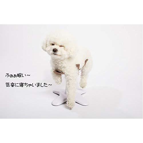 【まとめ売り】 サムソンサロン Samson Salon 犬 猫 ドッグフード トリミング トリマー バリカン 美容院 動物病院 ペット フード シニア 【V1945951687】(12041円)