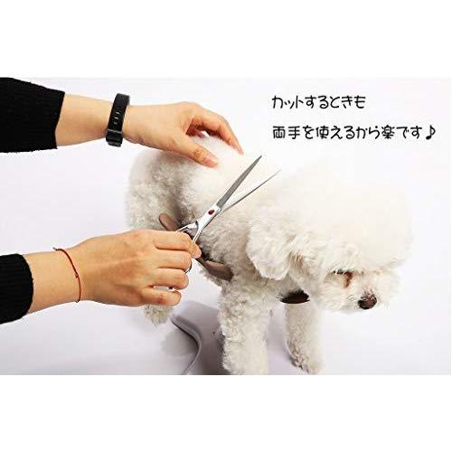 【まとめ売り】 サムソンサロン Samson Salon 犬 猫 ドッグフード トリミング トリマー バリカン 美容院 動物病院 ペット フード シニア 【V1945951687】(12041円)
