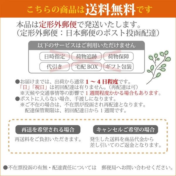 アーチフィッターインソール 超うす型 BC-201 ブラック 2枚左右 アーチフィッターインソール 超うす型 BC-201 ブラック 2枚左右
